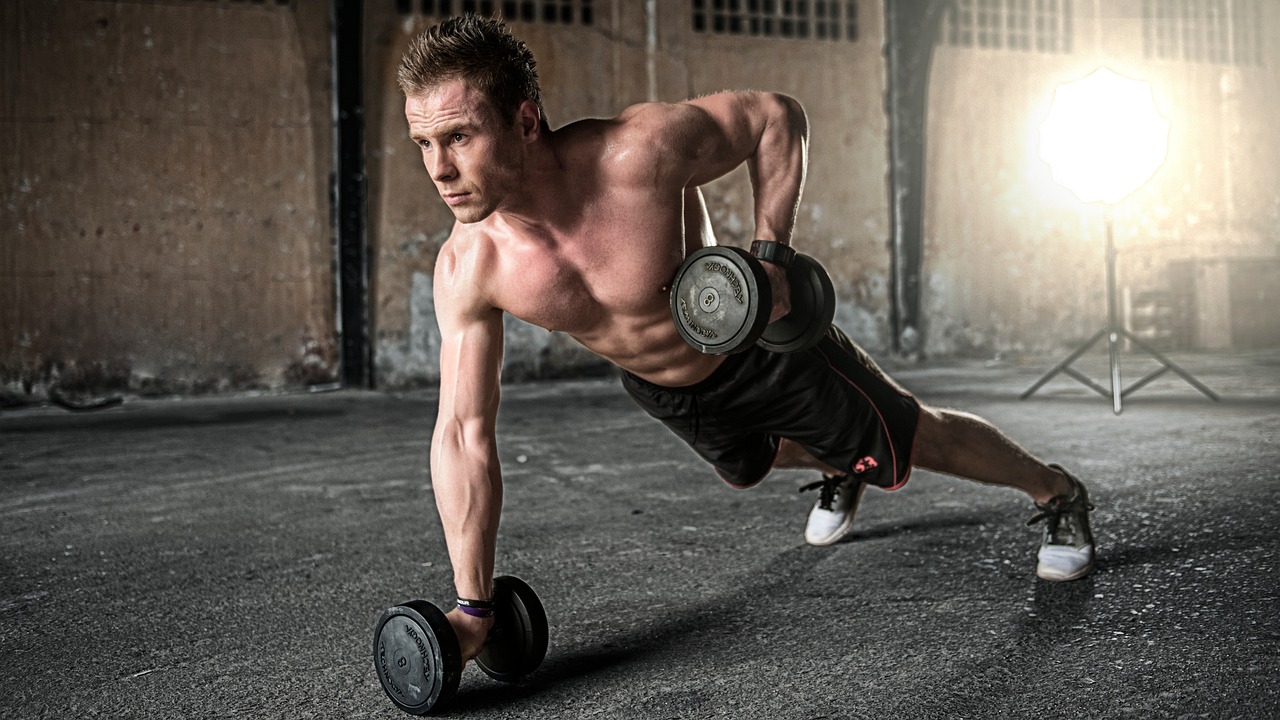 Ocelotcore Fitness Club collection